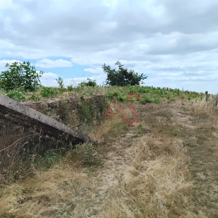Terreno para Venda em Silvares (São Martinho) Foto 21