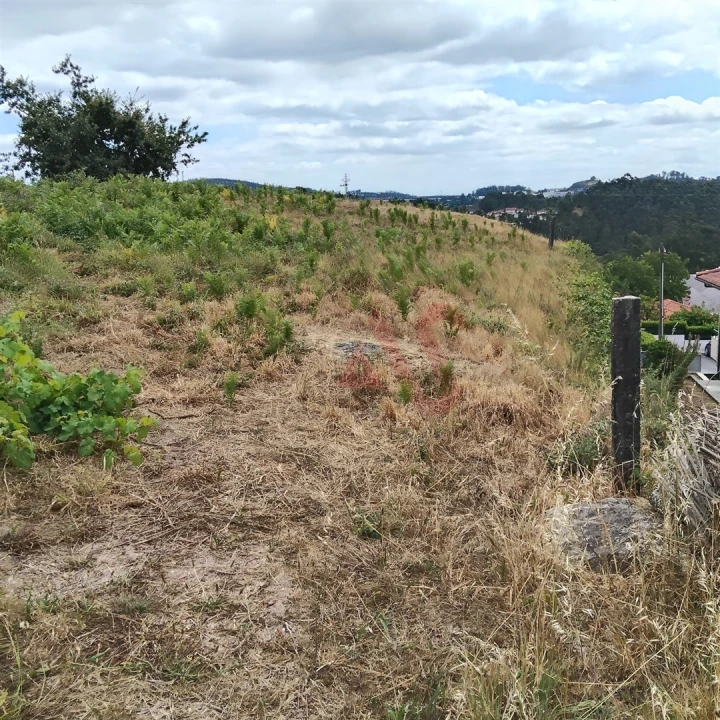 Terreno para Venda em Silvares (São Martinho) Foto 18