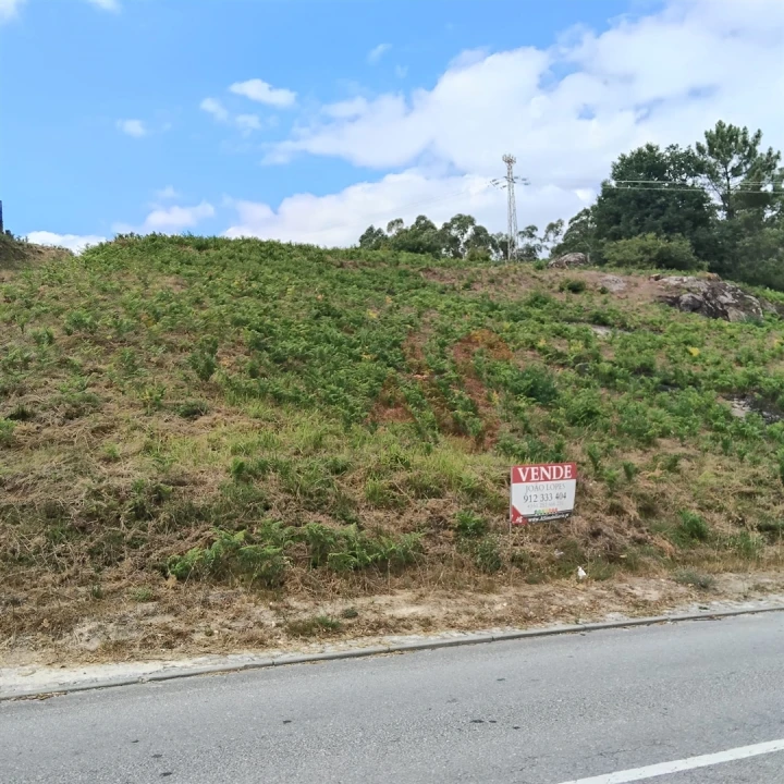 Terreno para Venda em Silvares (São Martinho) Foto 3