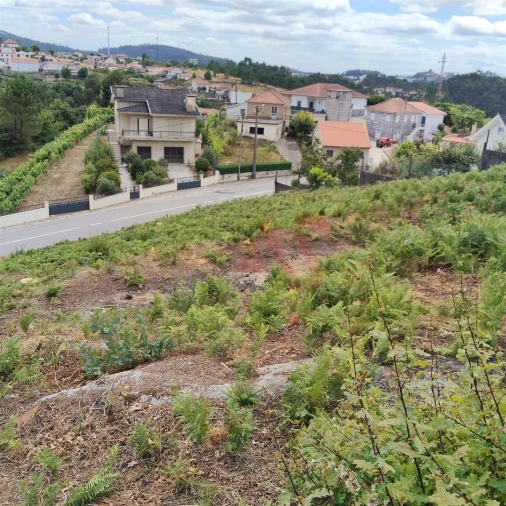Terreno para Venda em Silvares (São Martinho) Foto 8