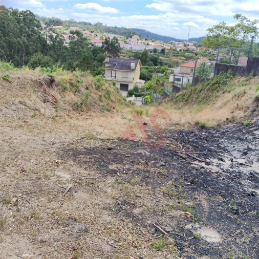 Terreno para Venda em Silvares (São Martinho) Foto 16