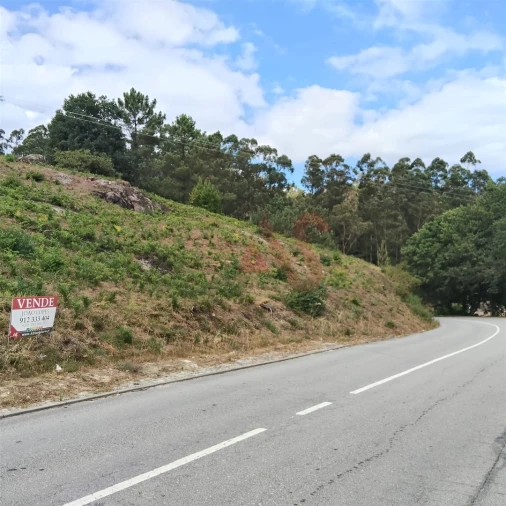 Terreno para Venda em Silvares (São Martinho)