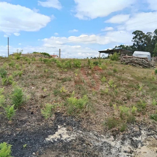 Terreno para Venda em Silvares (São Martinho) Foto 10