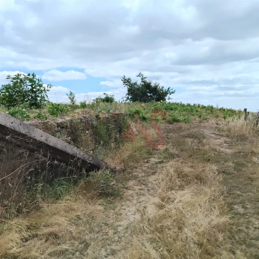 Terreno para Venda em Silvares (São Martinho) Foto 21