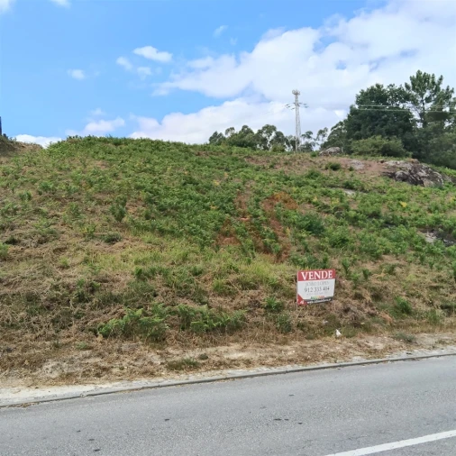 Terreno para Venda em Silvares (São Martinho) Foto 3