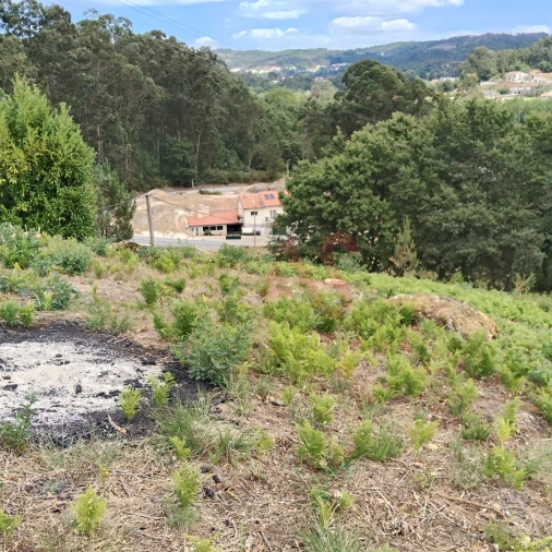 Terreno para Venda em Silvares (São Martinho) Foto 6