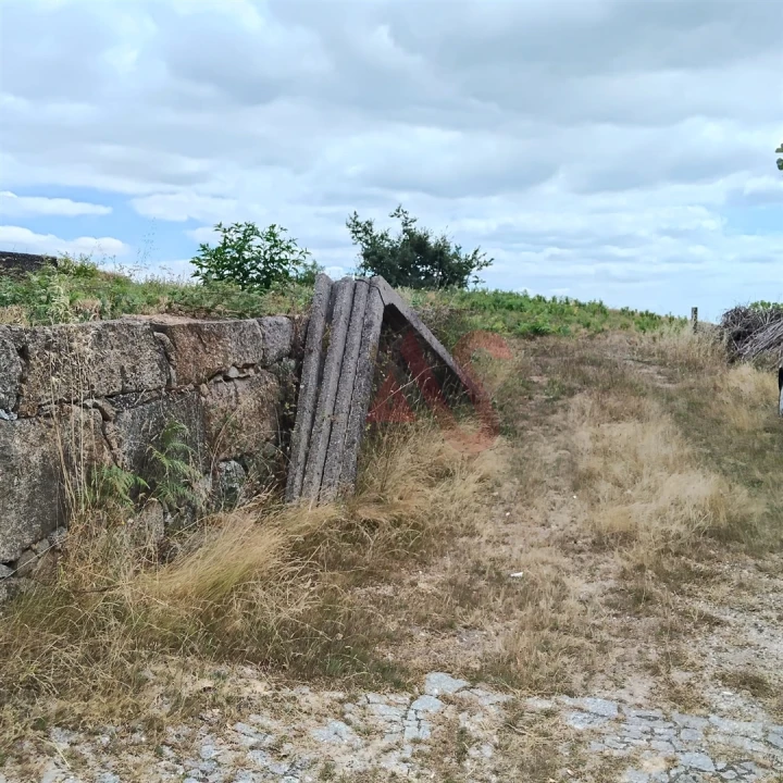 Terreno para Venda em Silvares (São Martinho) Foto 5
