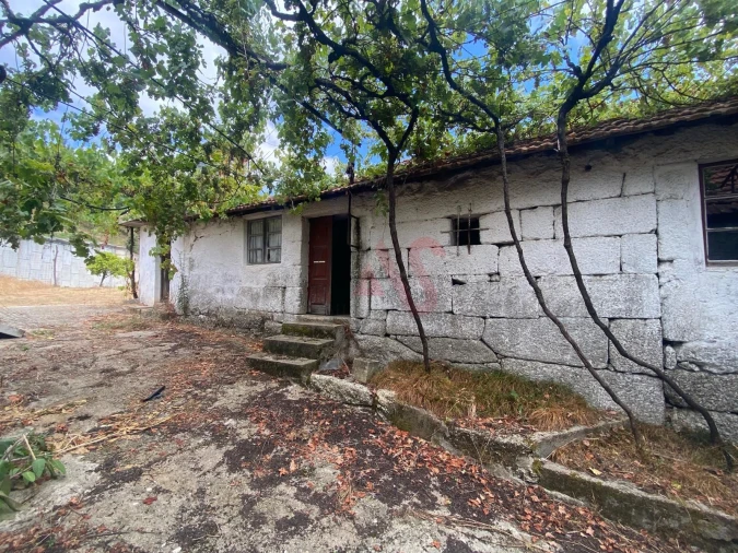 Moradia T3 para Venda em Silvares, Pias, Nogueira e Alvarenga Foto 4