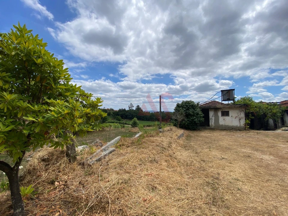 Quinta T6 para Venda em Silvares, Pias, Nogueira e Alvarenga Foto 19