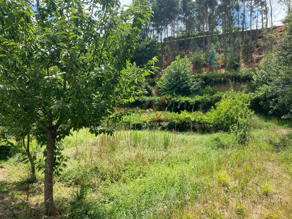 Quinta T6 para Venda em Silvares, Pias, Nogueira e Alvarenga Foto 42