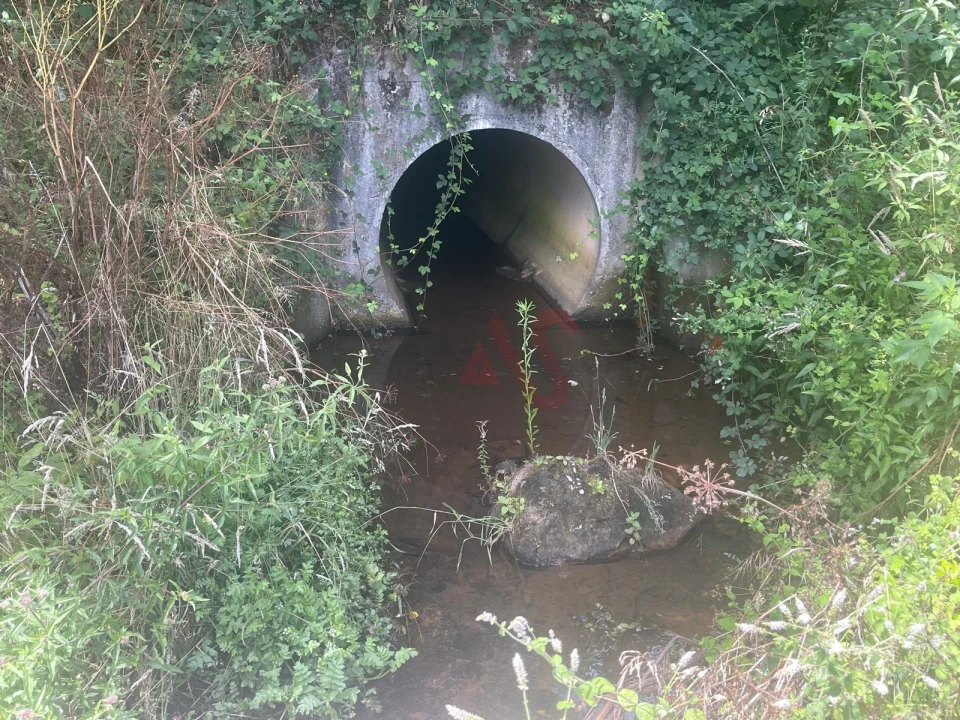 Quinta T6 para Venda em Silvares, Pias, Nogueira e Alvarenga Foto 47