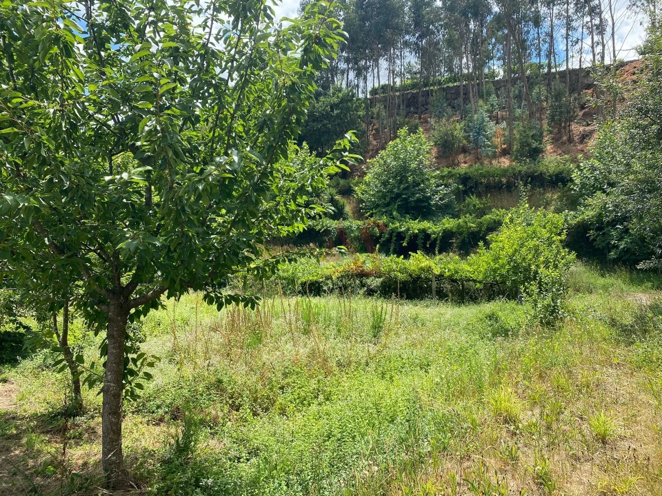 Quinta T6 para Venda em Silvares, Pias, Nogueira e Alvarenga Foto 45