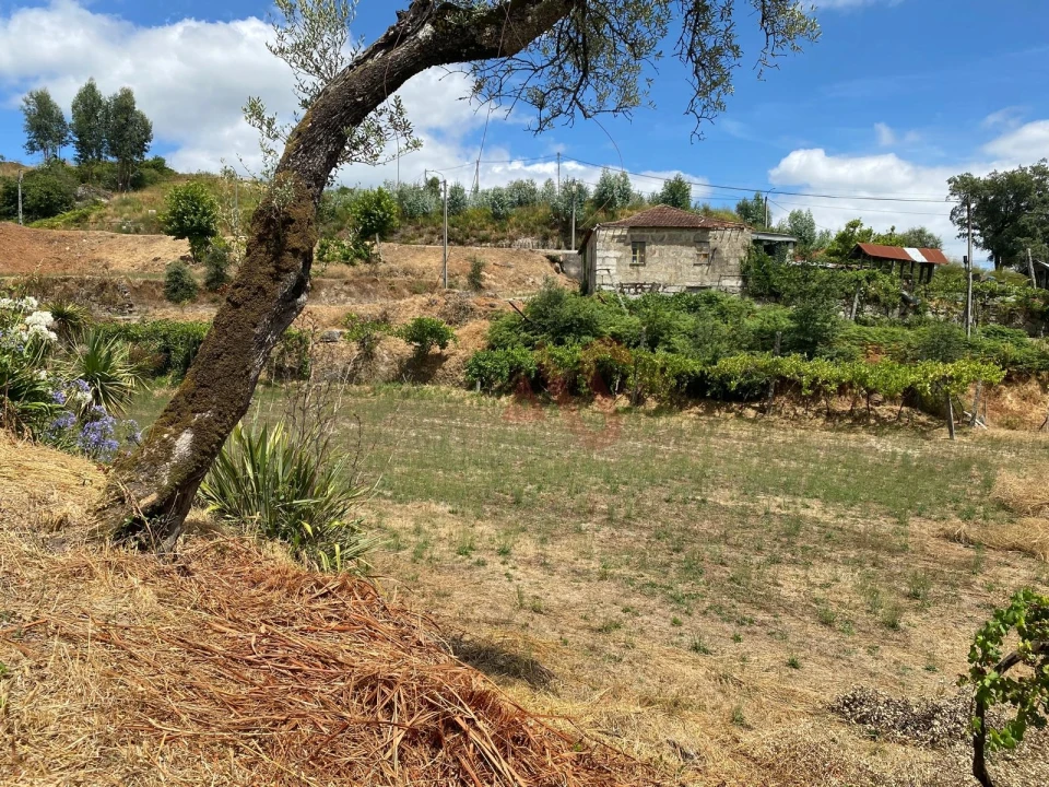 Quinta T6 para Venda em Silvares, Pias, Nogueira e Alvarenga Foto 36