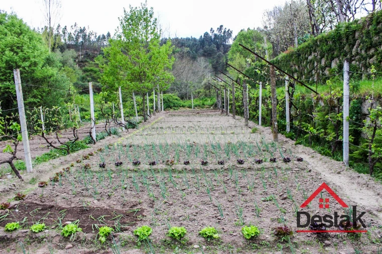 Moradia T2 para Venda em Sul Foto 23