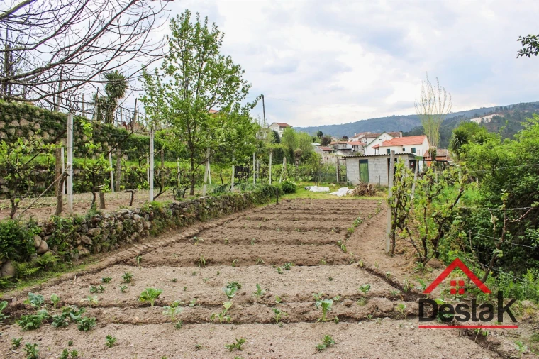 Moradia T2 para Venda em Sul Foto 24