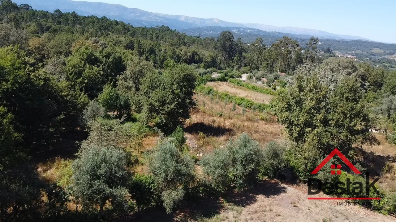 Terreno para Venda em São Miguel do Mato Foto 9