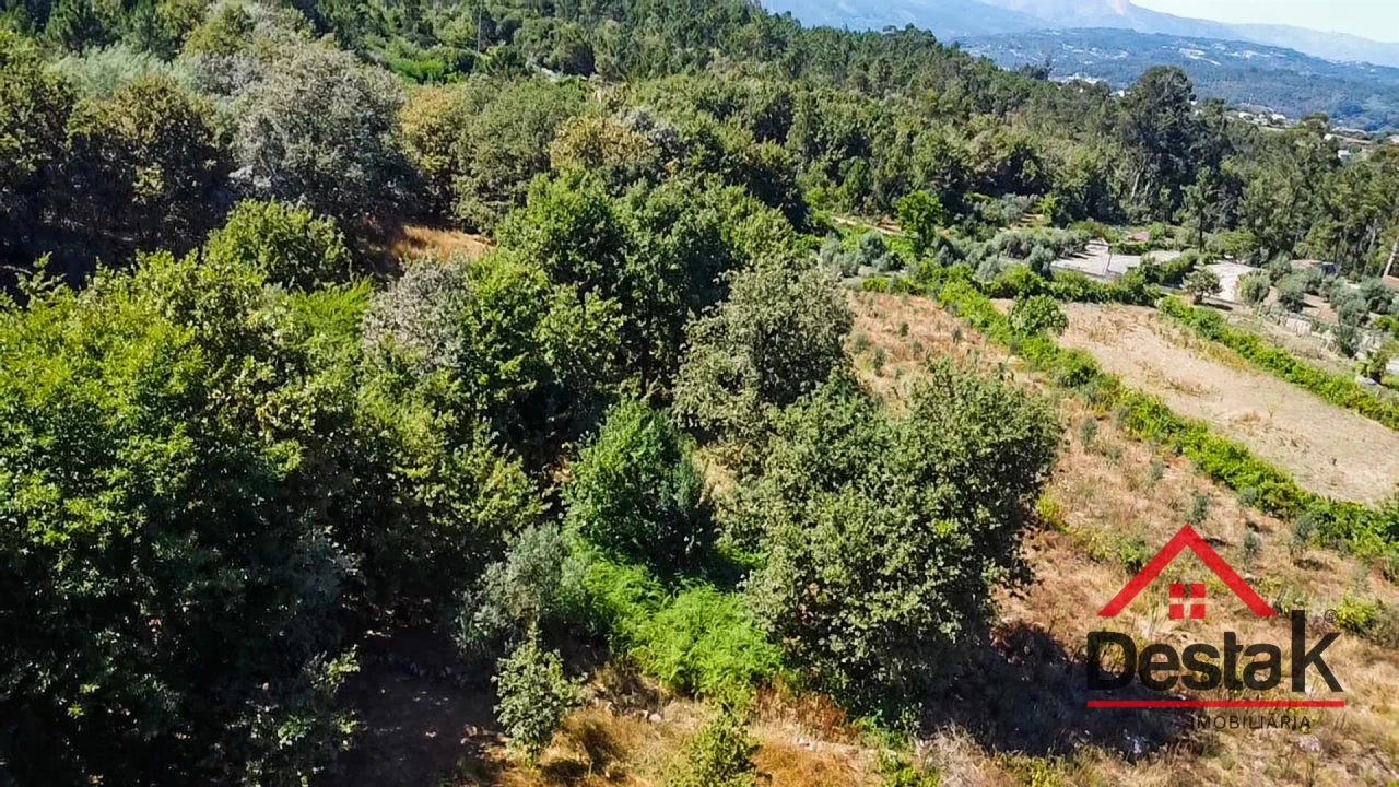 Terreno para Venda em São Miguel do Mato Foto 6