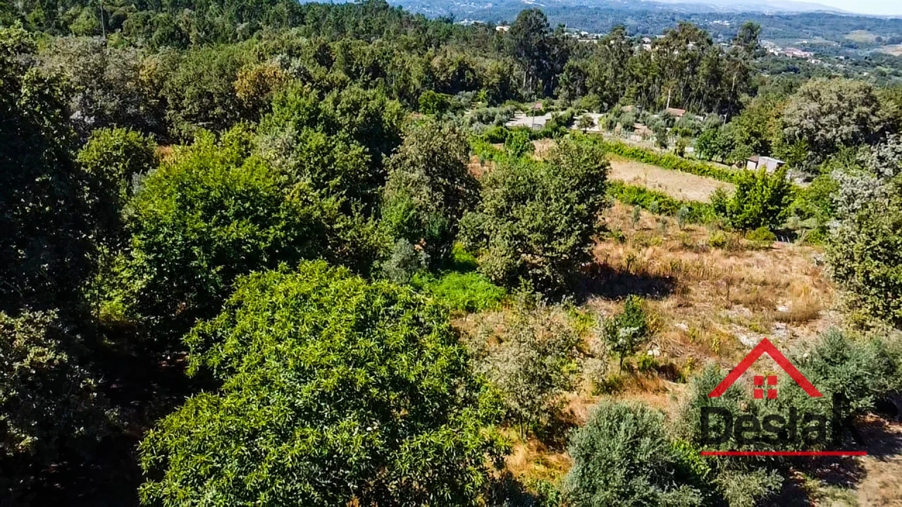 Terreno para Venda em São Miguel do Mato Foto 3
