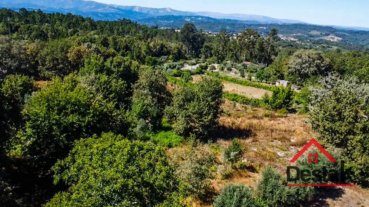 Terreno para Venda em São Miguel do Mato Foto 4