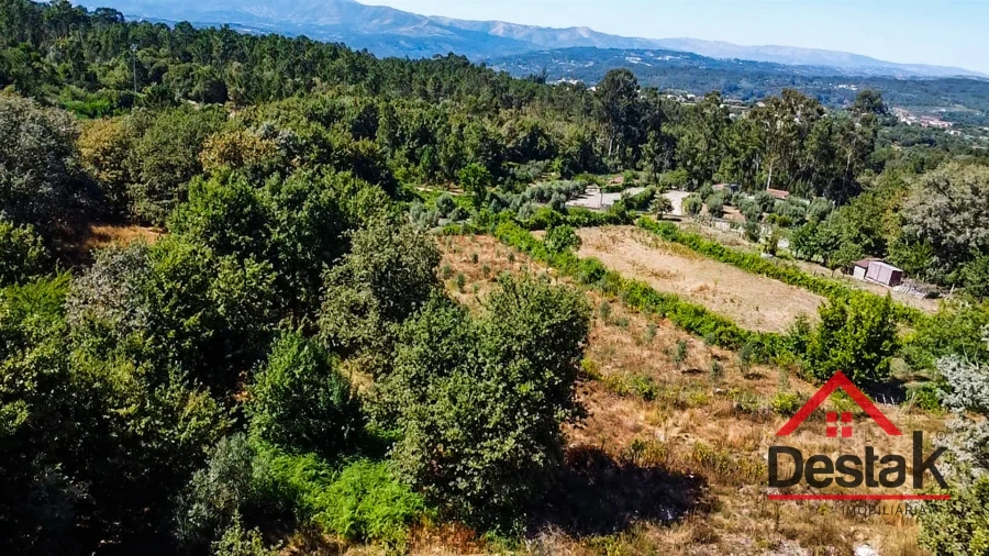 Terreno para Venda em São Miguel do Mato Foto 7