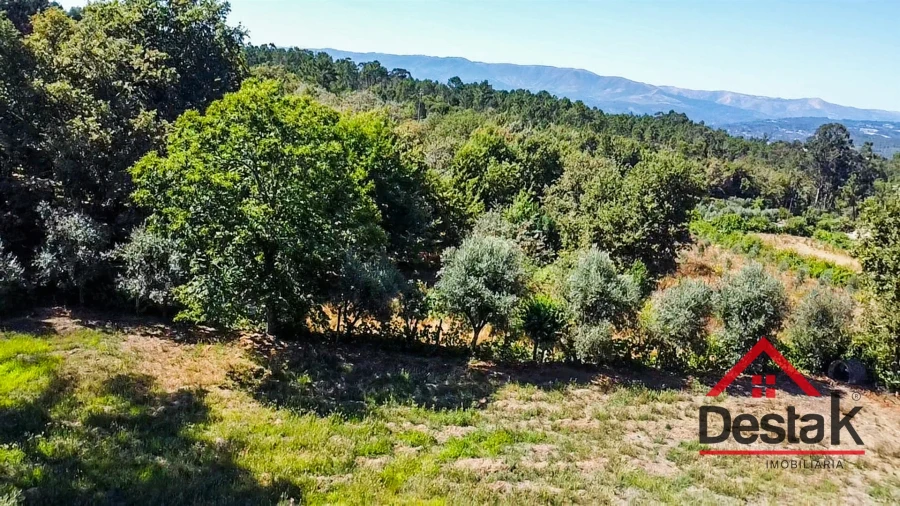 Terreno para Venda em São Miguel do Mato Foto 11