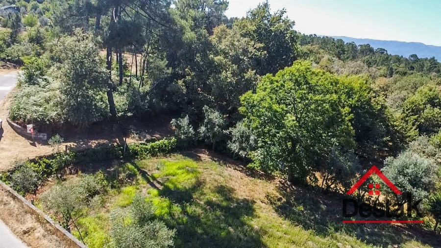 Terreno para Venda em São Miguel do Mato Foto 12