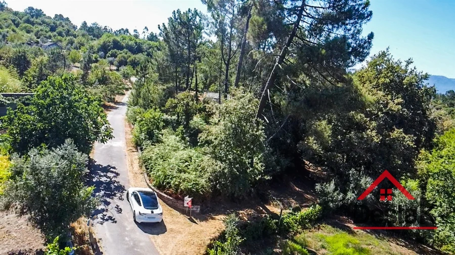 Terreno para Venda em São Miguel do Mato Foto 13