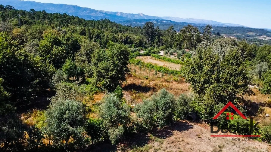 Terreno para Venda em São Miguel do Mato Foto 8