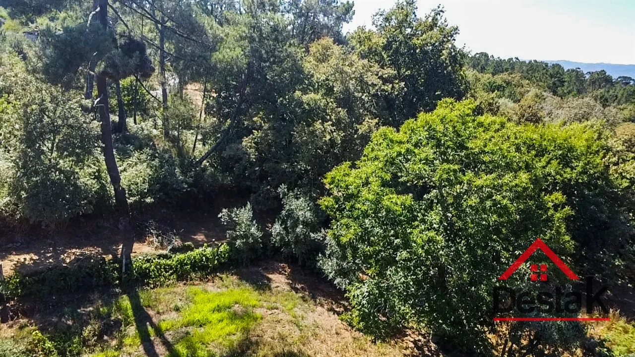Terreno para Venda em São Miguel do Mato Foto 10