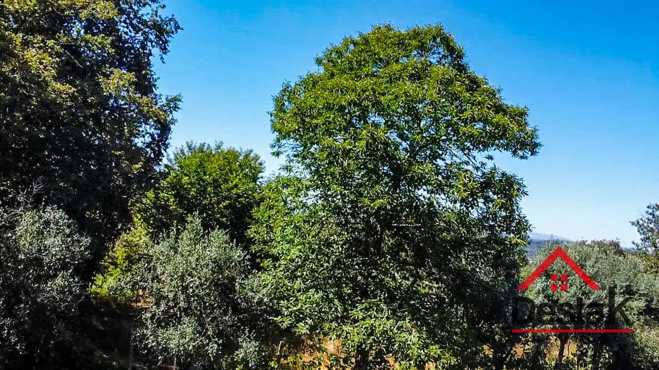 Terreno para Venda em São Miguel do Mato Foto 2