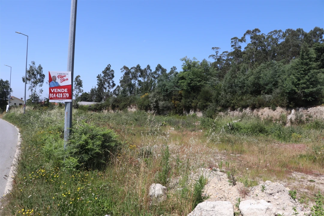 Terreno para Venda em Lustosa e Barrosas (Santo Estêvão) Foto 8