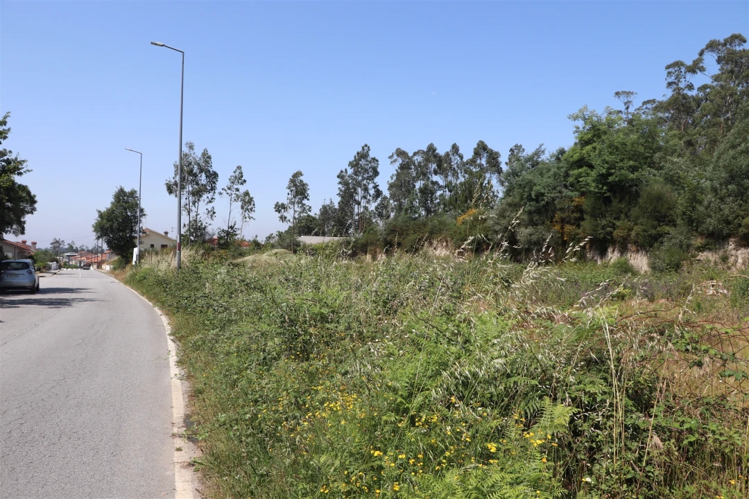 Terreno para Venda em Lustosa e Barrosas (Santo Estêvão) Foto 10
