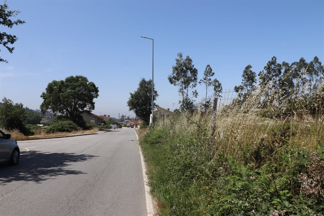 Terreno para Venda em Lustosa e Barrosas (Santo Estêvão) Foto 13