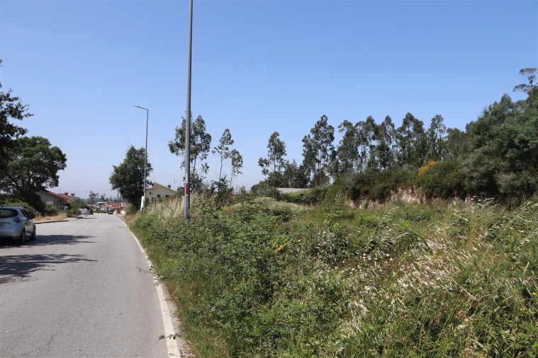 Terreno para Venda em Lustosa e Barrosas (Santo Estêvão) Foto 12