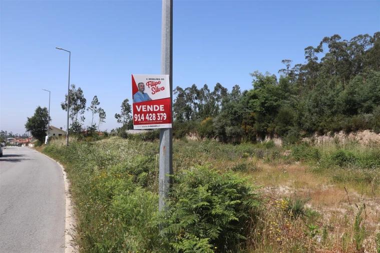 Terreno para Venda em Lustosa e Barrosas (Santo Estêvão) Foto 9
