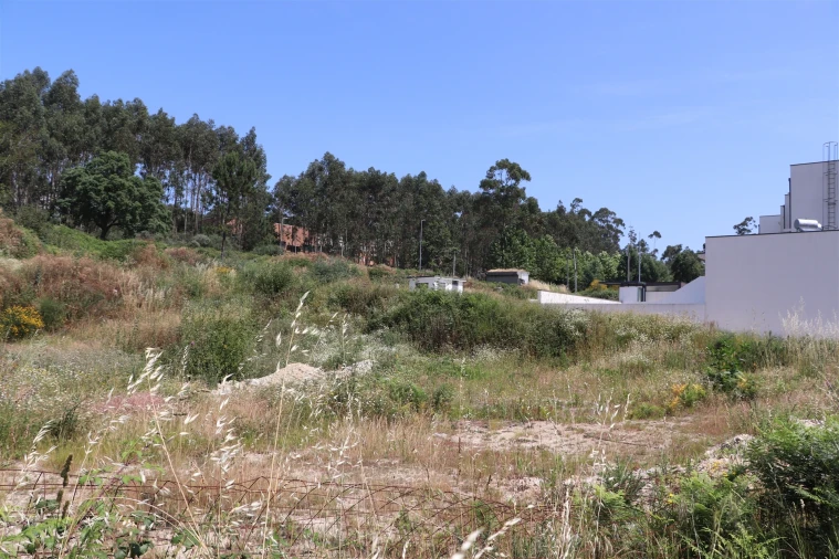 Terreno para Venda em Lustosa e Barrosas (Santo Estêvão) Foto 11