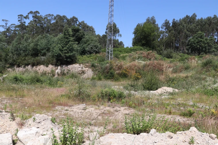 Terreno para Venda em Lustosa e Barrosas (Santo Estêvão) Foto 7
