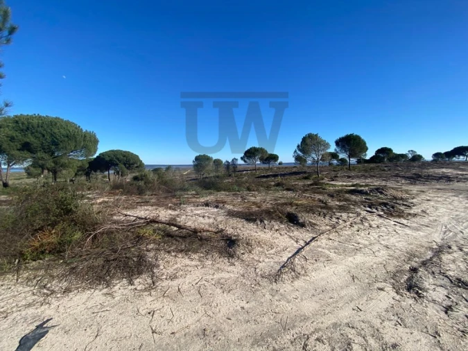 Terreno Comércio / Armazém para Venda em União das Freguesias de Setúbal Foto 3