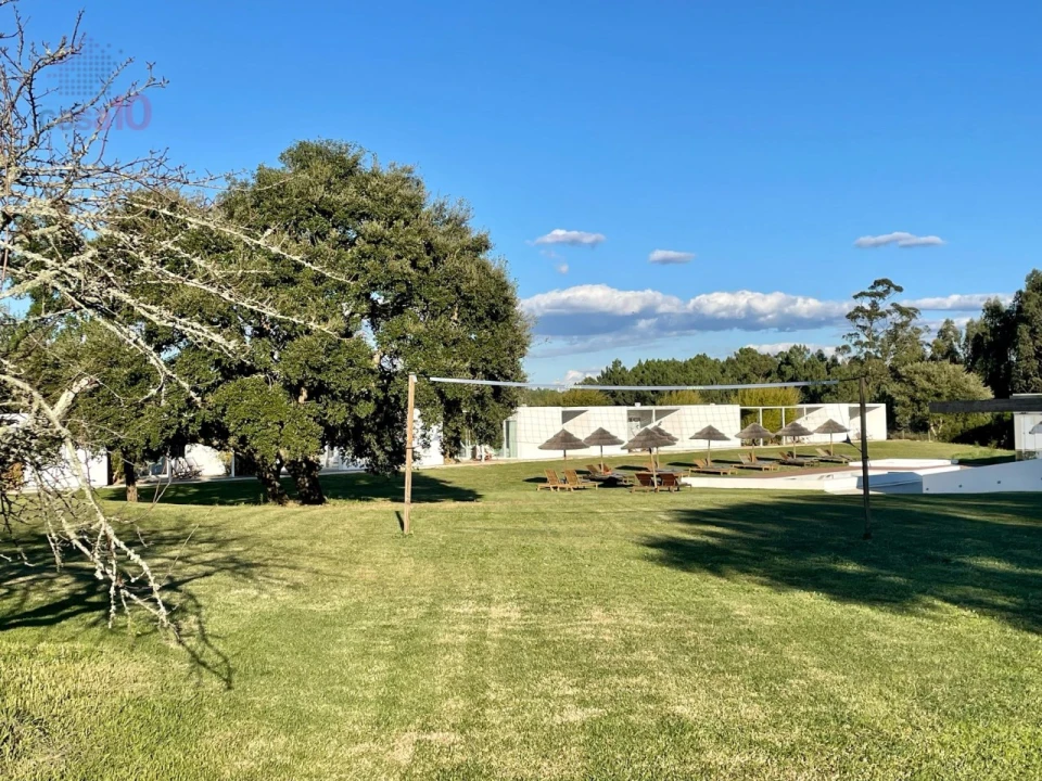 Negócio para Venda em São Teotónio Foto 5