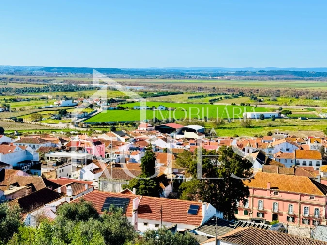 Moradia T2 para Venda em Chamusca e Pinheiro Grande Foto 31