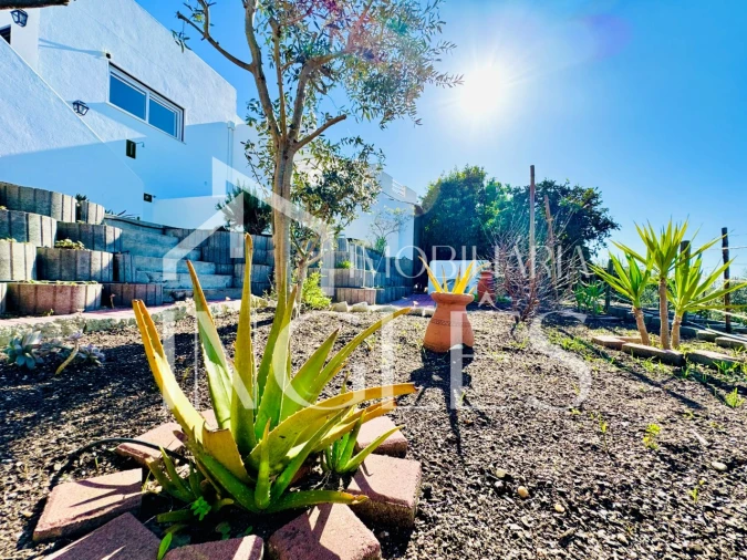 Moradia T2 para Venda em Chamusca e Pinheiro Grande Foto 53