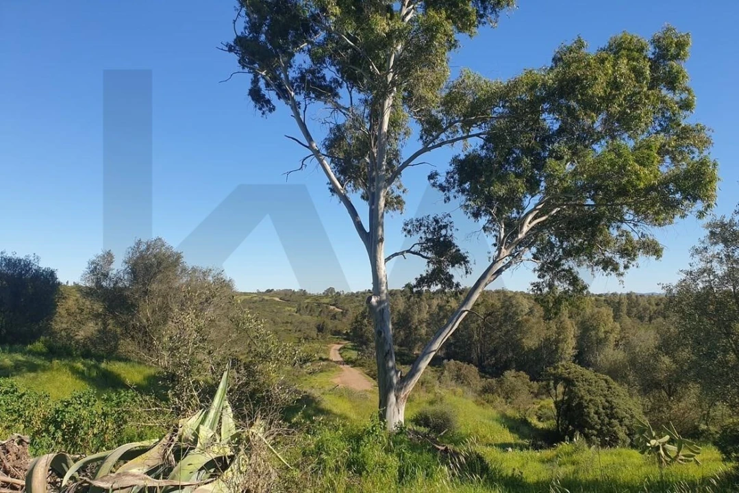 Moradia T1 para Venda em Corte do Pinto Foto 12