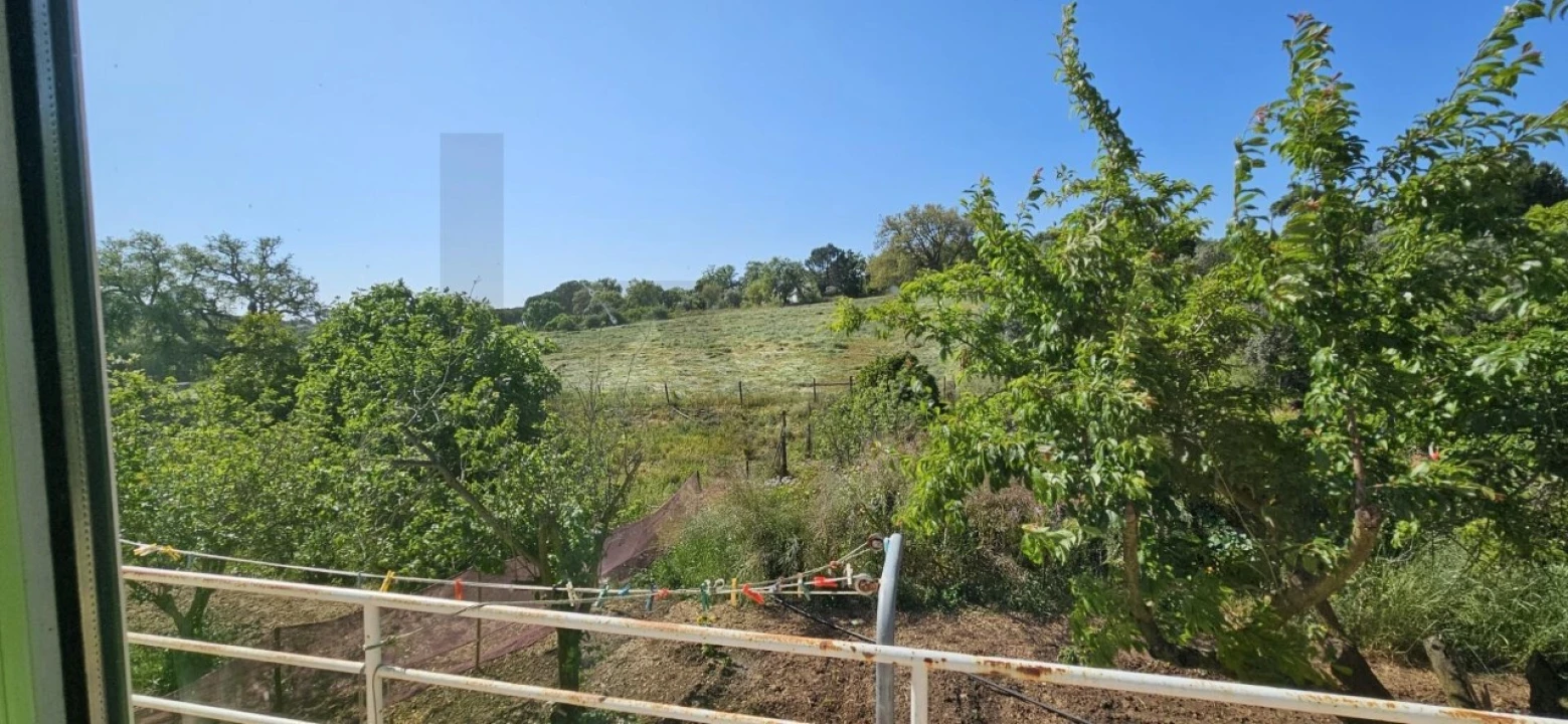 Quinta T9 para Venda em São Domingos e Vale de Água Foto 25