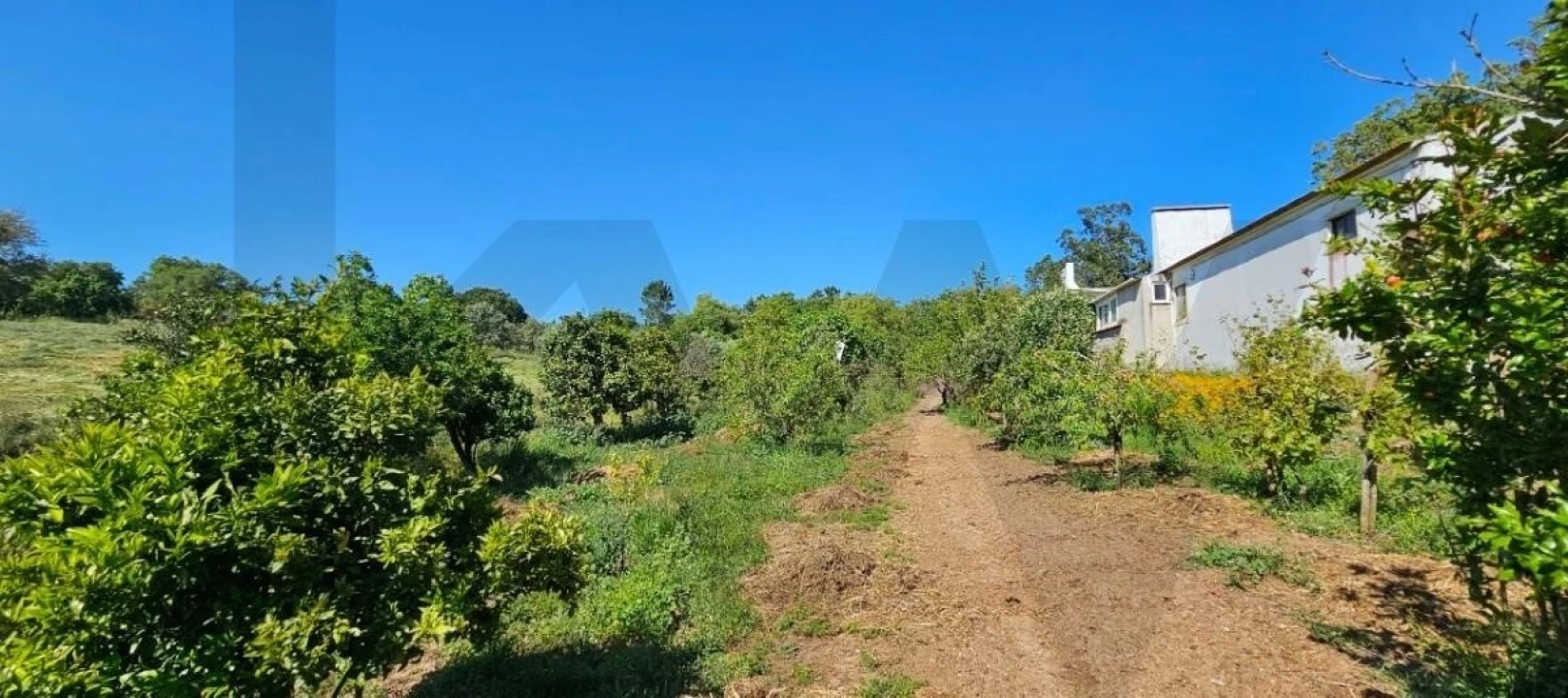 Quinta T9 para Venda em São Domingos e Vale de Água Foto 11