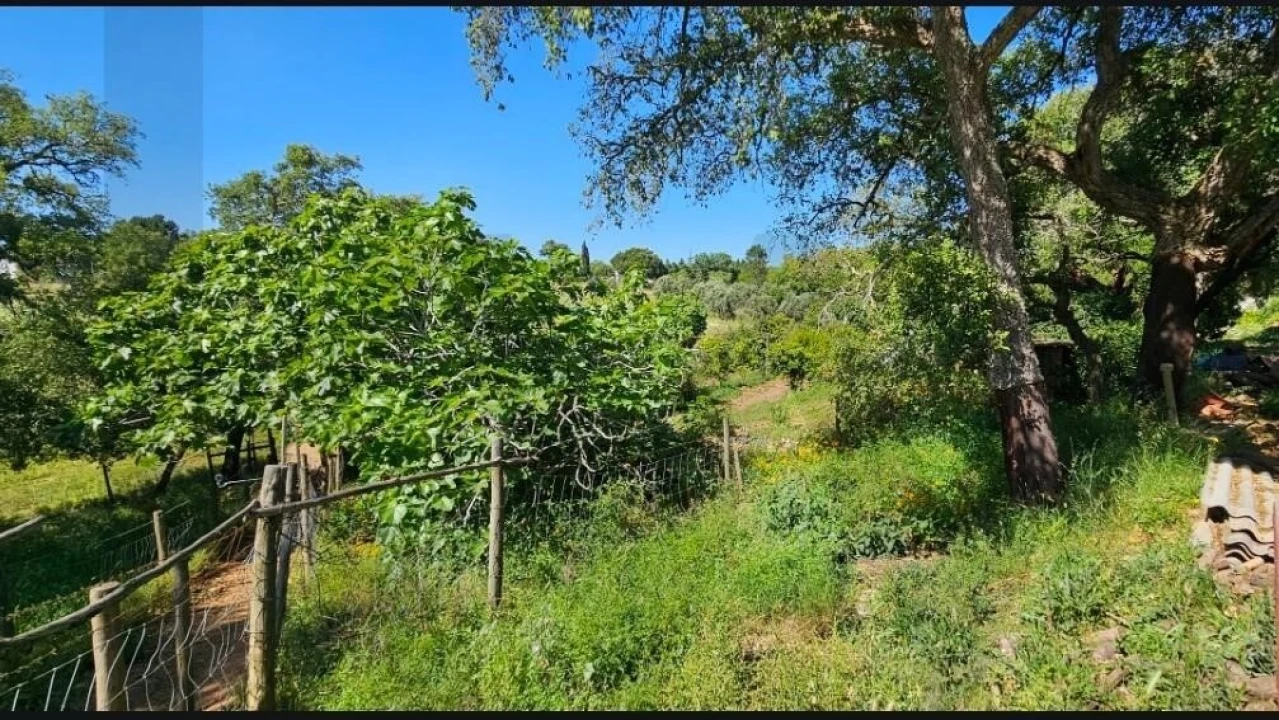 Quinta T9 para Venda em São Domingos e Vale de Água Foto 13