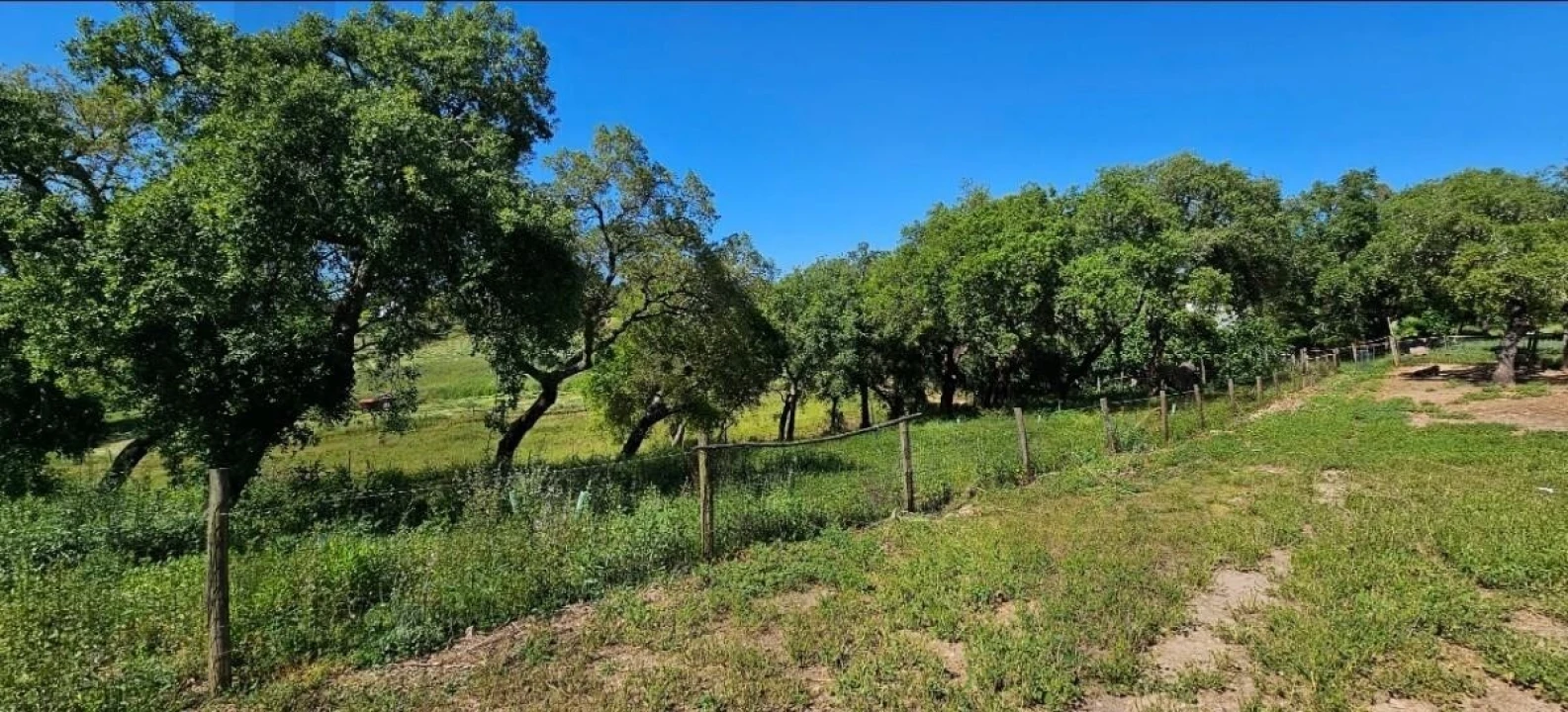 Quinta T9 para Venda em São Domingos e Vale de Água Foto 14
