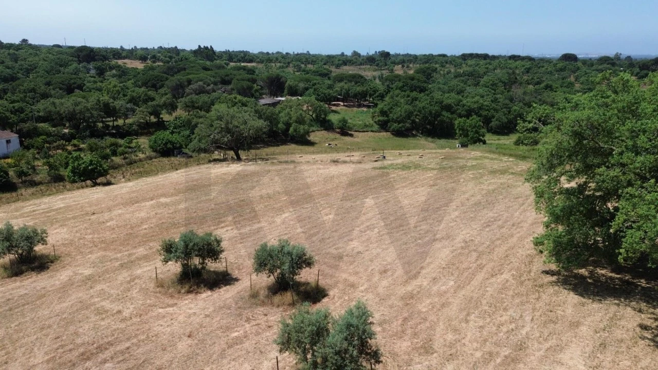 Quinta T9 para Venda em São Domingos e Vale de Água Foto 19