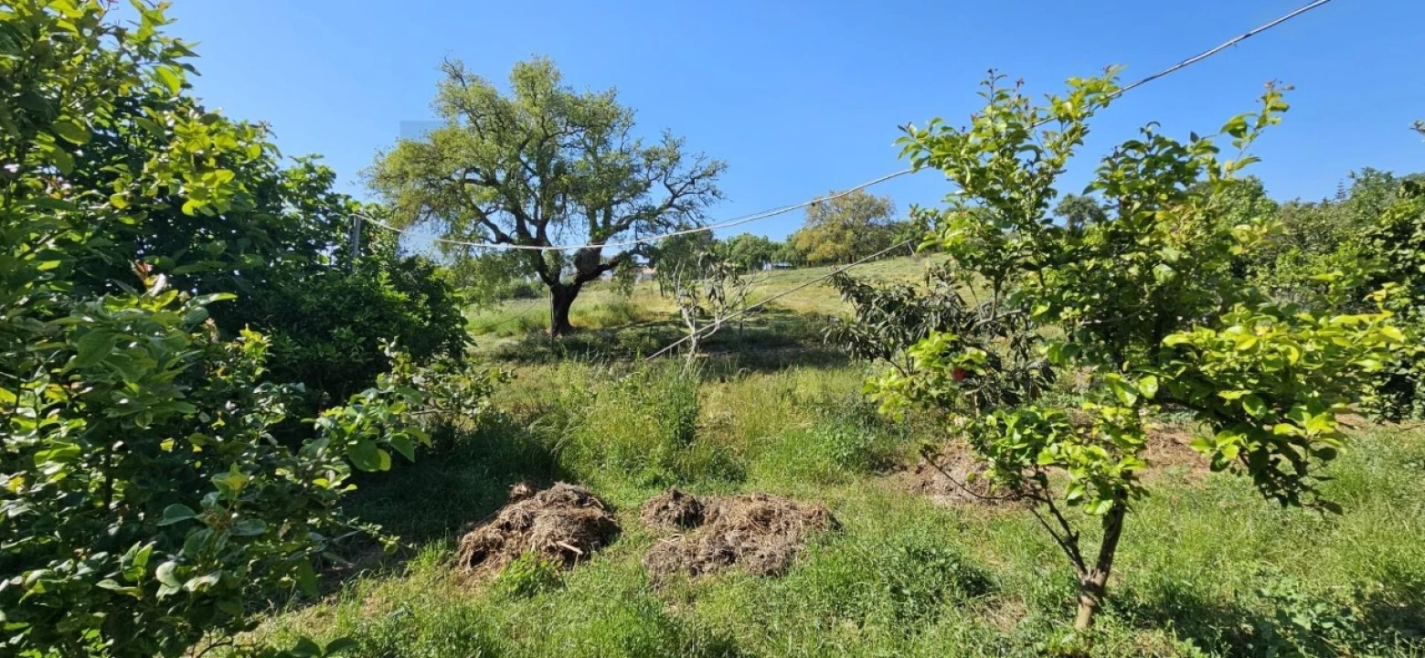 Quinta T9 para Venda em São Domingos e Vale de Água Foto 22