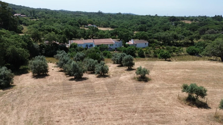 Quinta T9 para Venda em São Domingos e Vale de Água Foto 18