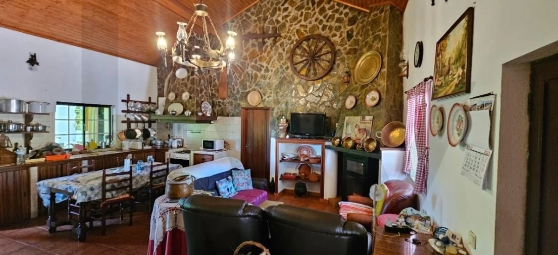 Quinta T9 para Venda em São Domingos e Vale de Água Foto 7